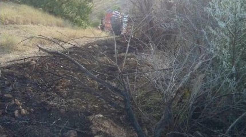 Malatya&rsquo;da Kayısı Bah&ccedil;esi Alevler İ&ccedil;inde Kaldı