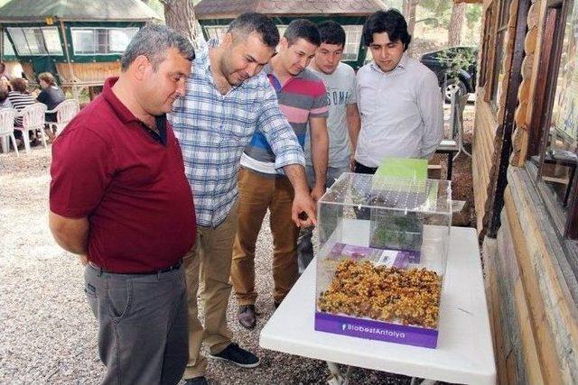 Konyaaltı İlçesi’nde Çiftçilere Biyolojik Mücadele Eğitimi