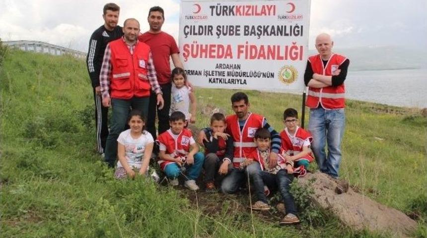 &Ccedil;ıldır Kızılay Şube Bakanlığından Ş&uuml;heda Fidanlığı