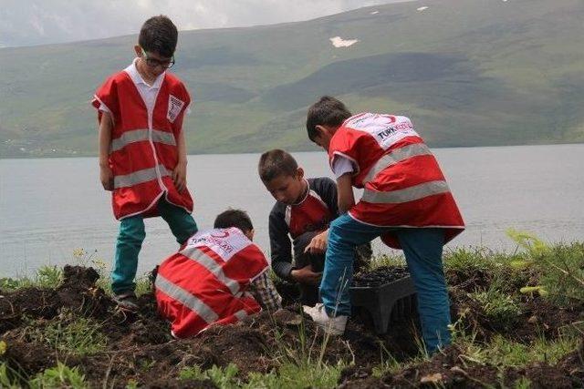 Çıldır Kızılay Şube Bakanlığından Şüheda Fidanlığı