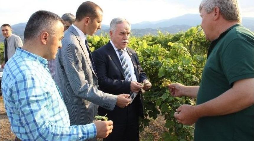 Üzüm Üreticilerinden ’borlu Su’ İddiası