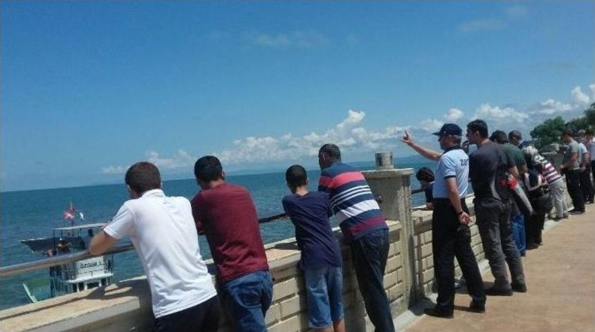 &Ouml;l&uuml; Yunus Balığı Karaya Vurdu