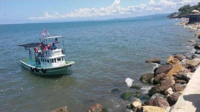 &Ouml;l&uuml; Yunus Balığı Karaya Vurdu 1