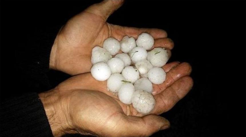 Ceviz B&uuml;y&uuml;kl&uuml;ğ&uuml;nde Yağan Dolu Şaşırttı