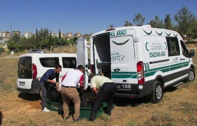 Gaziantep’te Şüpheli Ölüm