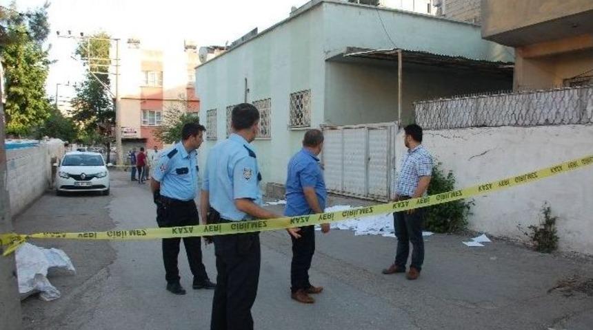 Sokak Ortasında Resmi Evraklar Bulundu