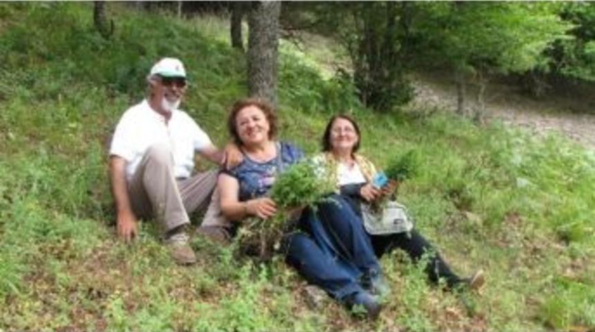 Kazdağlarında Kekik Bolluğu