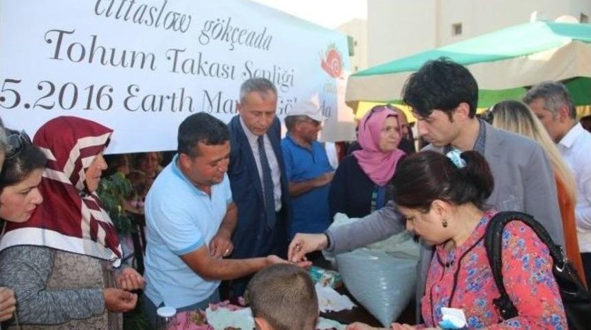 G&ouml;k&ccedil;eada&rsquo;da Tohum Takas Şenliği
