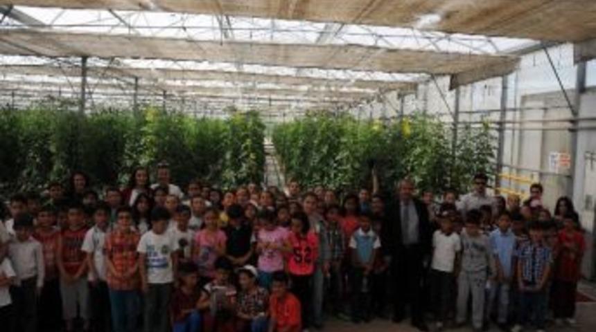 &Ccedil;ocuklara &Ccedil;evre Bilinci Yerinde Aşılandı