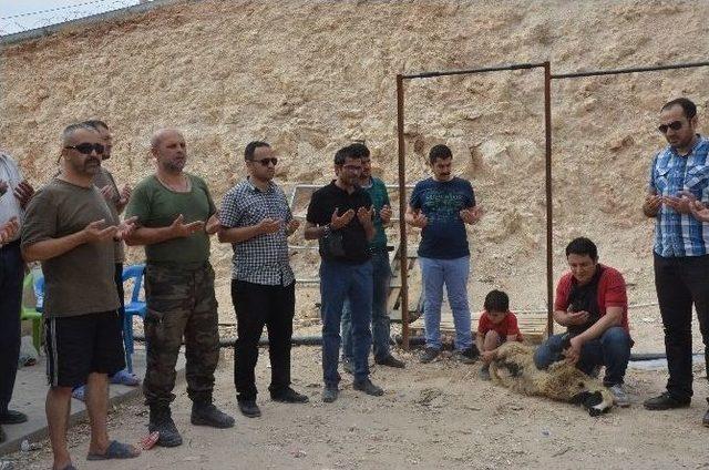 Nusaybin’de Görevli Asker Ve Polisler İçin Kurban Kesildi