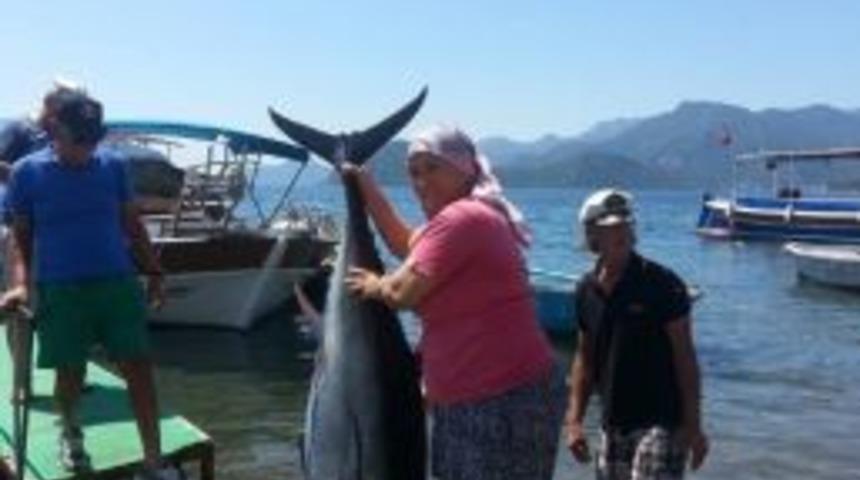 Kadın Muhtar Yakaladığı 80 Kiloluk Balığı Mahalleye Dağıttı