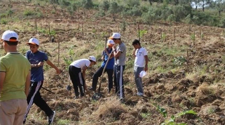 &Ccedil;evre G&uuml;n&uuml; 180 Ağa&ccedil; Fidesi Dikimi İle Kutlandı