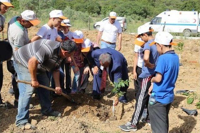 Çevre Günü 180 Ağaç Fidesi Dikimi İle Kutlandı