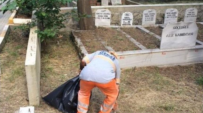 Gebze Mezarlıkları Temizleniyor