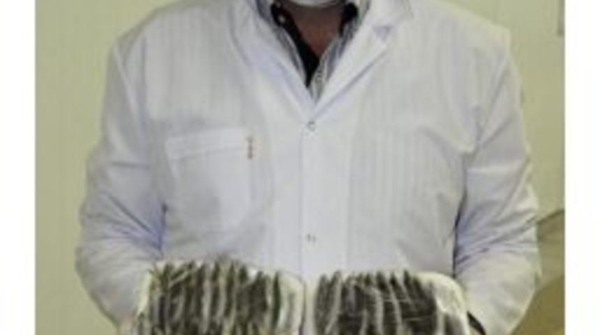 Abd, Rusya Ve Ab &Uuml;lkelerine 1 Milyon Dolarlık Hamsi İhracatı Yapıldı