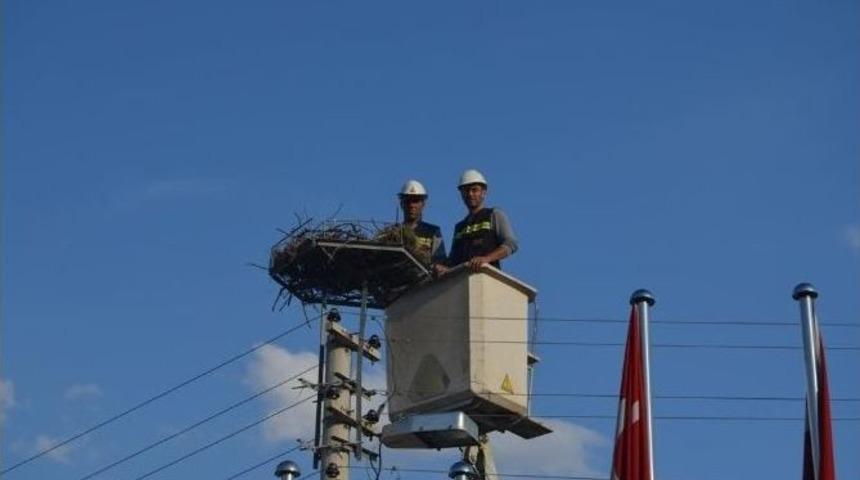 Leylekler İ&ccedil;in Yapay Yuva