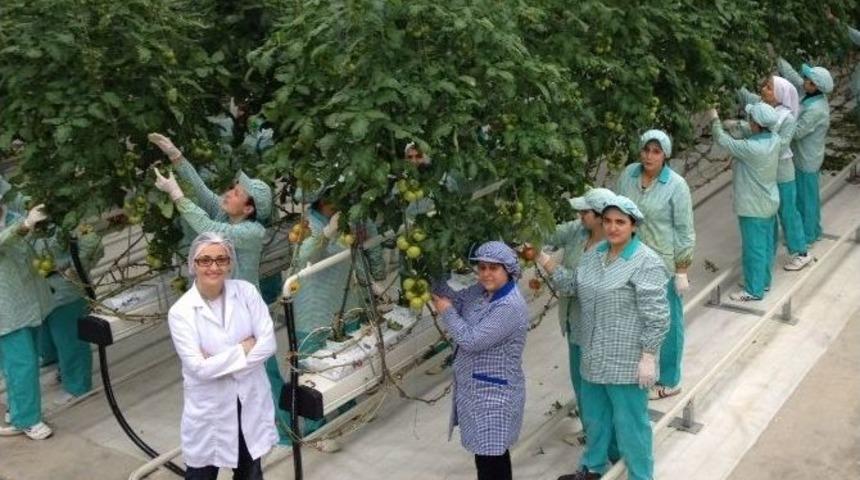 Sultan Sera Sezonun Rekorunu Kırdı