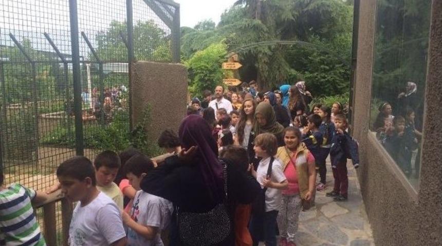 &Ouml;d&uuml;l Olarak Hayvanat Bah&ccedil;esine Gittiler