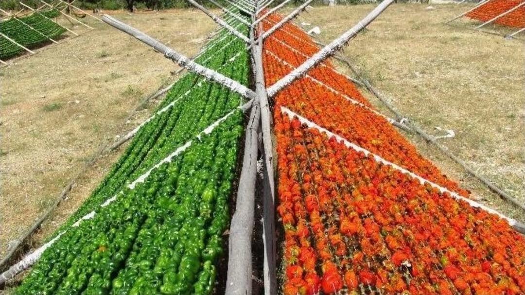 Gaziantep&rsquo;te Kurutmalık Mevsimi Başladı