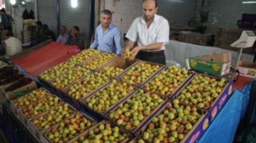 Malatya&rsquo;da Sezonun İlk Kayısısı Tezgahlara İndi