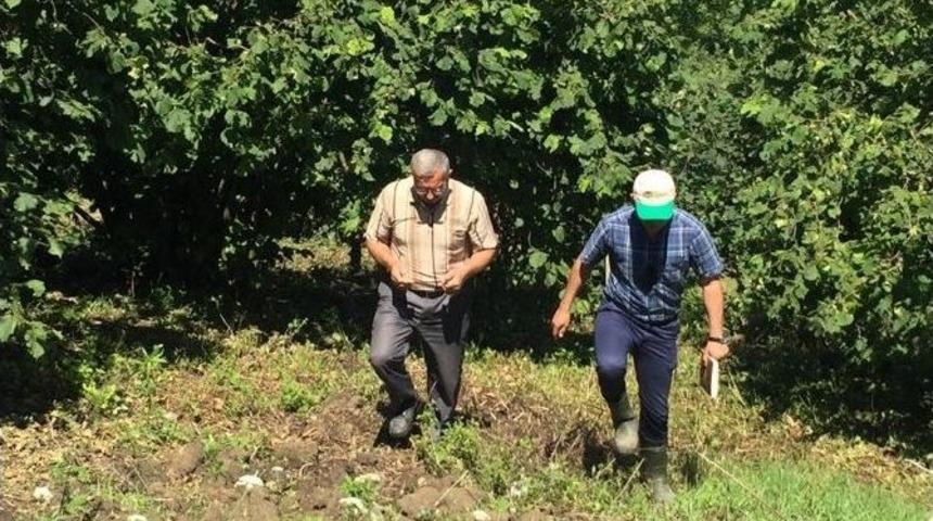 Dolu Yağışının Ardından Hasar Tespitleri