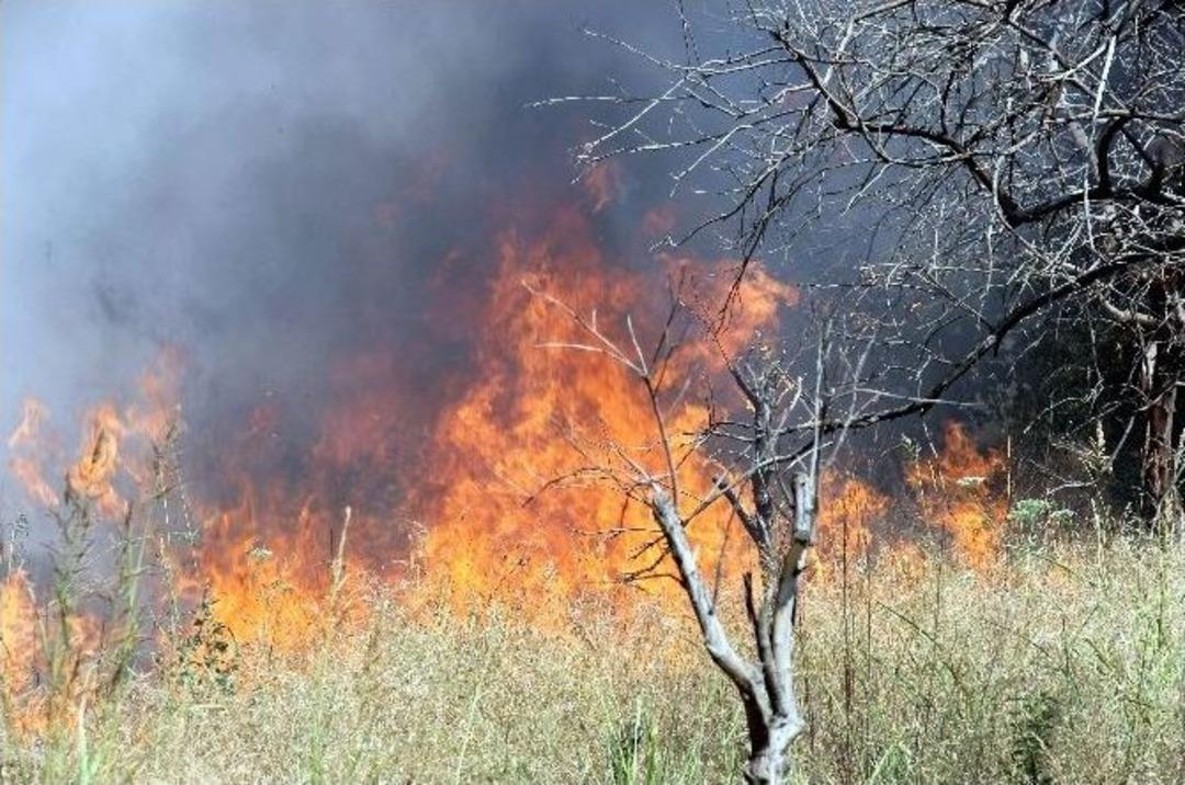 Tekstil Alanında &Ccedil;ıkan Yangın Aydın&rsquo;ı Duman Altın Bıraktı