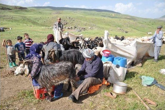 (özel Haber) Yaylacılar Çağ Atladı