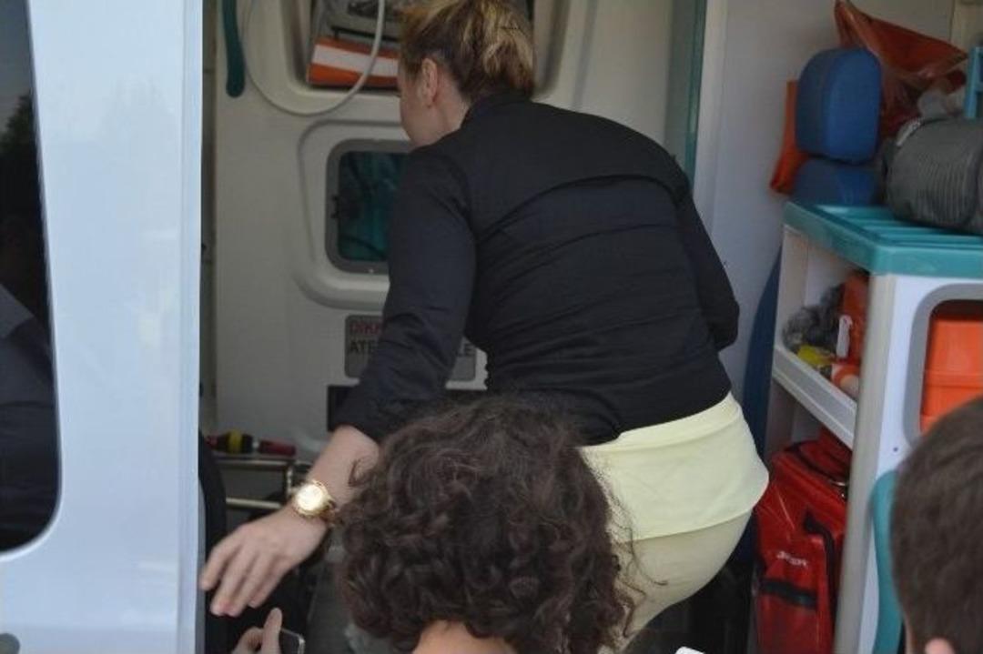 Yola &Ccedil;ıkan K&ouml;pek Kazaya Neden Oldu