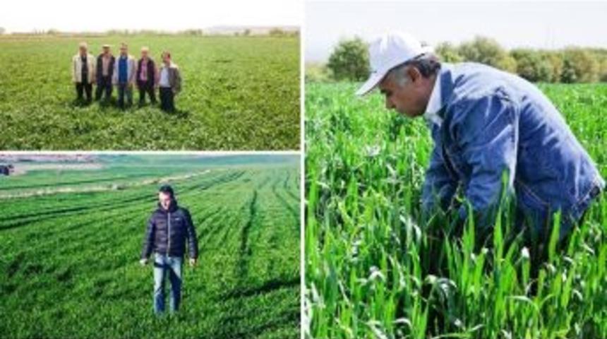 Bu Projeden &Ccedil;ift&ccedil;iler Karlı &Ccedil;ıktı