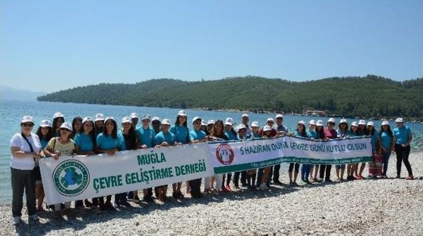 &Ouml;ğrenciler Akb&uuml;k Koyunda Temizlik Yaptı