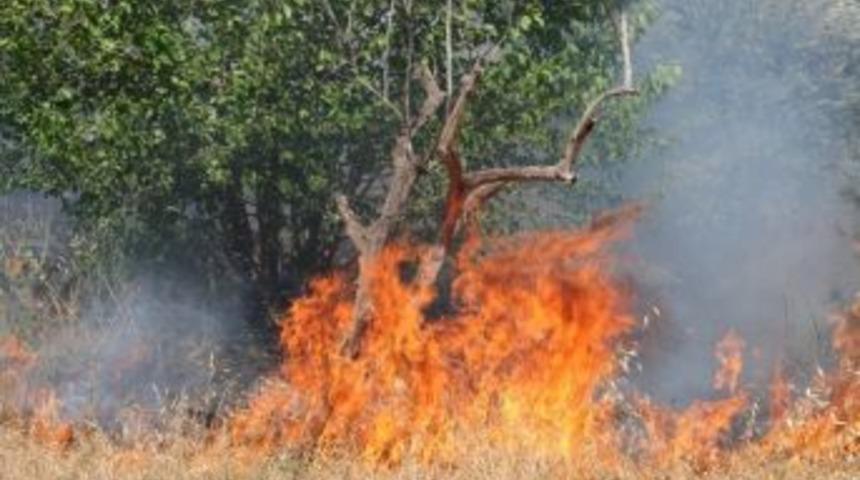 Aydın Tekstil Bilinli Olarak Yakılmış