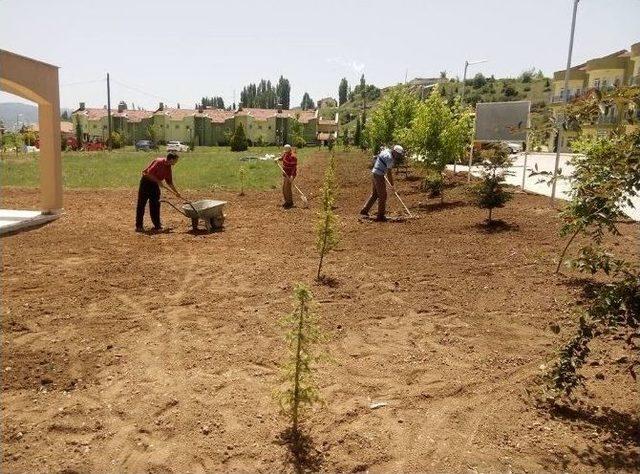 Esire Termal Turizm Merkezi’nde Çevre Düzenlemesi