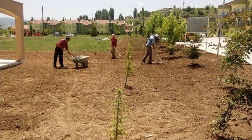 Hisarcık Belediyesi&rsquo;nden &Ccedil;imleme &Ccedil;alışması