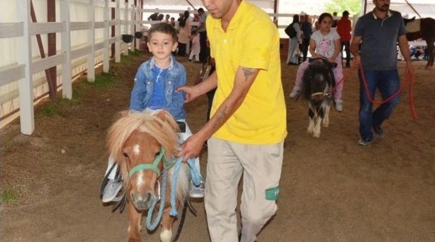 Atlı Terapi Merkezine İlgi Her Ge&ccedil;en G&uuml;n Artıyor