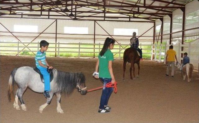 Atlı Terapi Merkezine İlgi Her Geçen Gün Artıyor