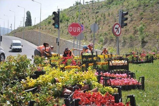 Bozüyük Çiçeklerle Taçlanıyor