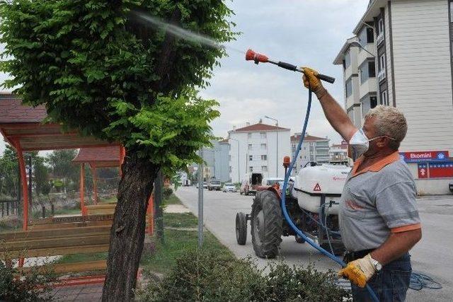 Bozüyük Çiçeklerle Taçlanıyor