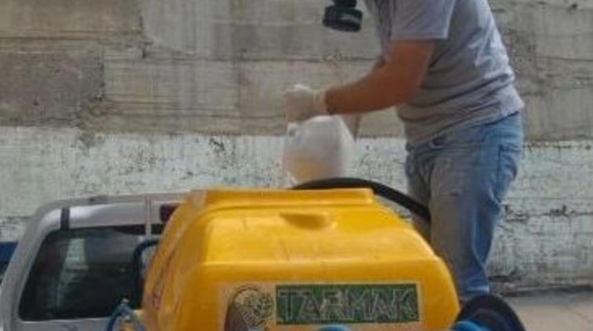 B&uuml;y&uuml;kşehir, Afrika Hastalığı İle Savaşıyor