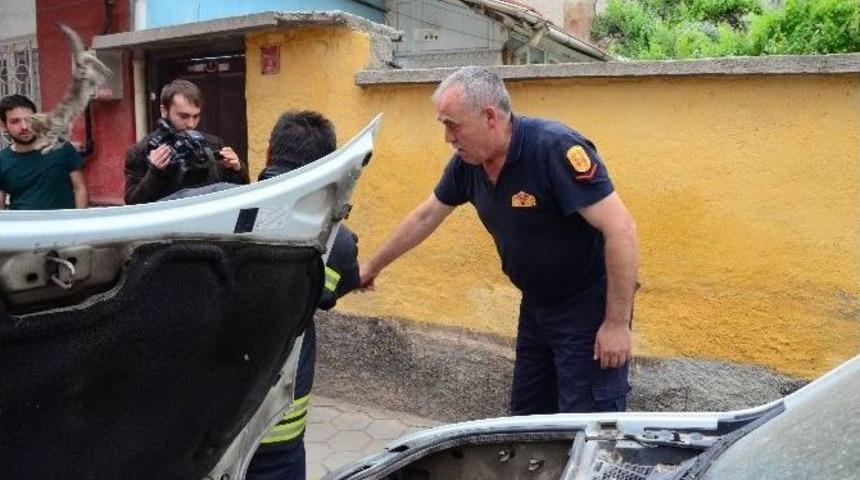 Yavru Kedi İtfaiye Ekiplerini Seferber Etti