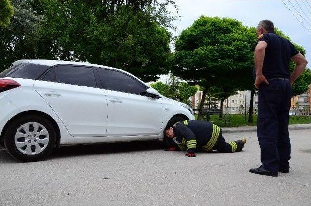 Yavru Kedi İtfaiye Ekiplerini Seferber Etti