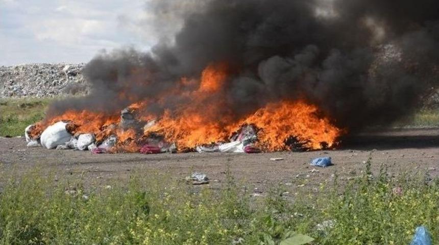 Ka&ccedil;ak &Ccedil;antaları İmha Etmeye Giden Jandarma Hint Keneviri İle Karşılaştı