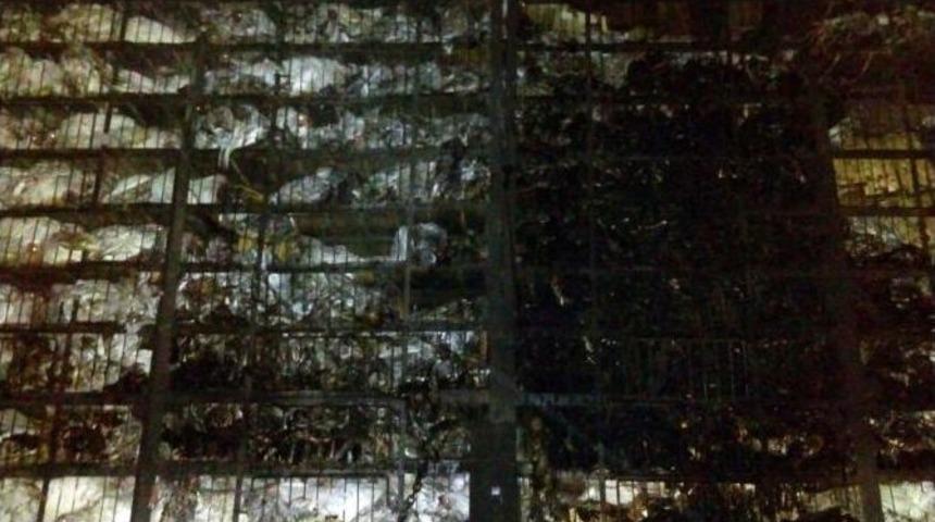 Tavuk Y&uuml;kl&uuml; Tır&rsquo;da Yangın