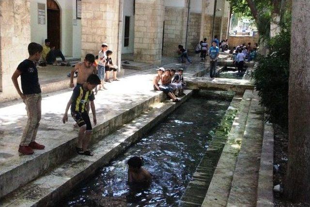 (özel Haber) Çocukların Su Kanalında Tehlikeli Oyunu