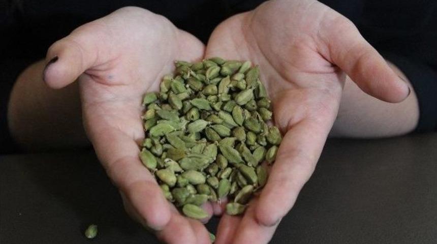 Ramazan Ayının G&ouml;zdesi; Kak&uuml;le