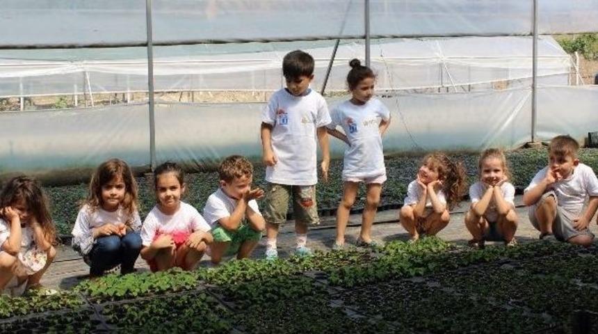 Didimli Minik &Ccedil;evreciler Serada Tohum Ekti