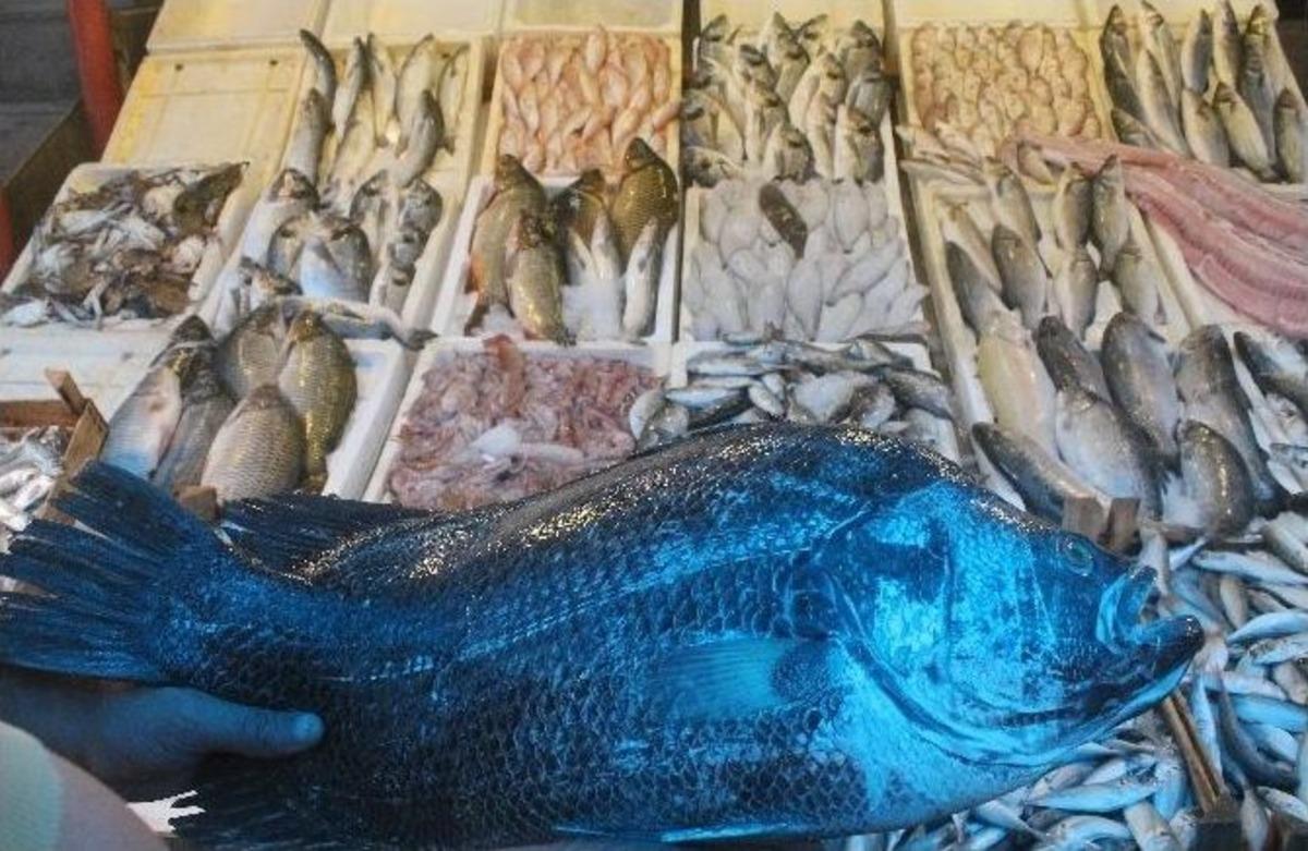 Ramazan&rsquo;da Balık Ucuzladı