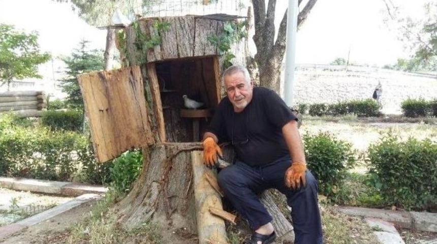 30 Santimlik Ağaç Parçasıyla İnsanlık Dersi