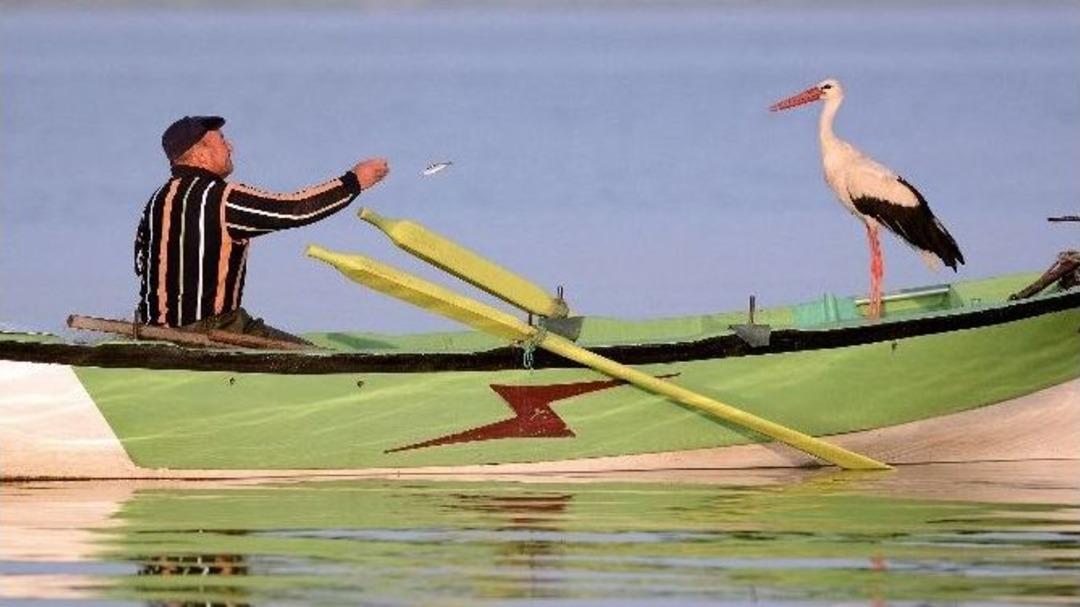 (&ouml;zel Haber) Leylekle Balık&ccedil;ının 5 Yıllık Dostluğu La Fontaine Masallarını Andırıyor