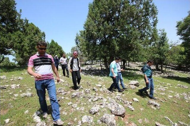 Beyşehir Gölü’ndeki Hacıakif Adası Ziyaretçilerin İlgisini Çekiyor