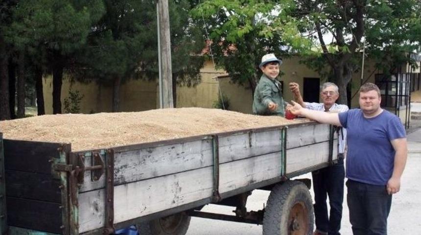 Keşan&rsquo;da İlk Buğday 1,10 Tl&rsquo;ye Satıldı